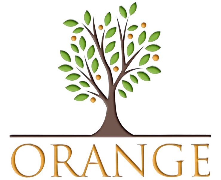 Orange Business Services